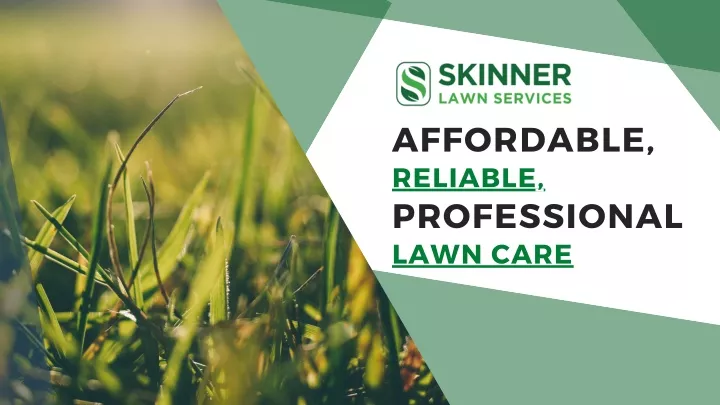 affordable reliable professional lawn care