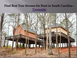 Get best offers on South Carolina Tree House - Treesortsc