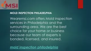 mold inspection philadelphia