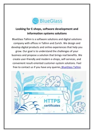 Looking for E-shops, software development and information systems solutions