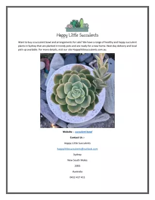 Best Succulent Bowl | Happy Little Succulents