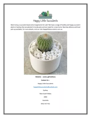 Online Cactus Gift Delivery | Happy Little Succulents