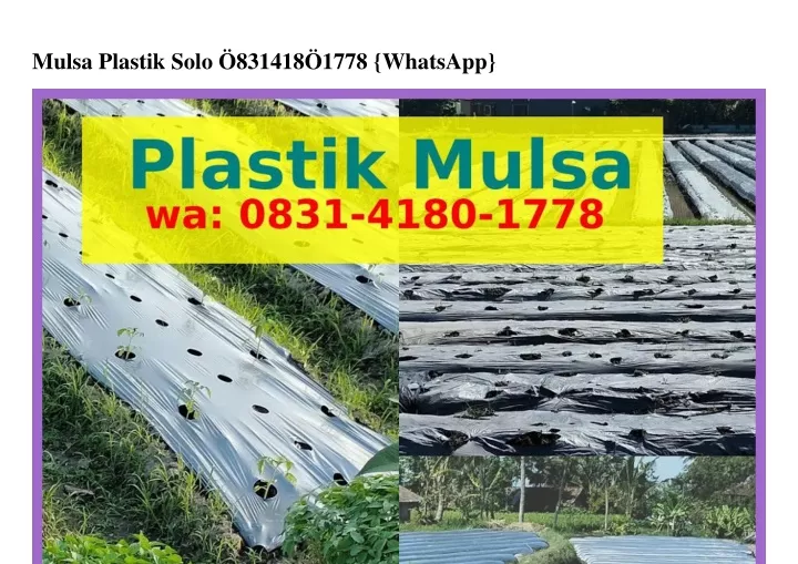 mulsa plastik solo 831418 1778 whatsapp