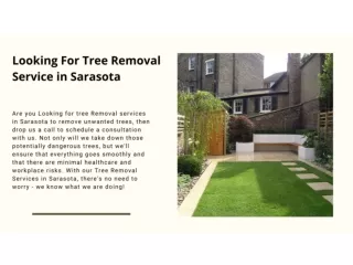 Looking For Tree Removal Service in Sarasota