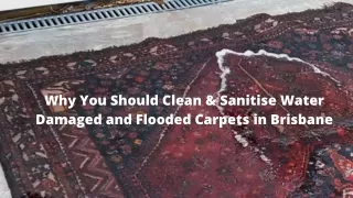 Why You Should Clean & Sanitise Water Damaged and Flooded Carpets in Brisbane