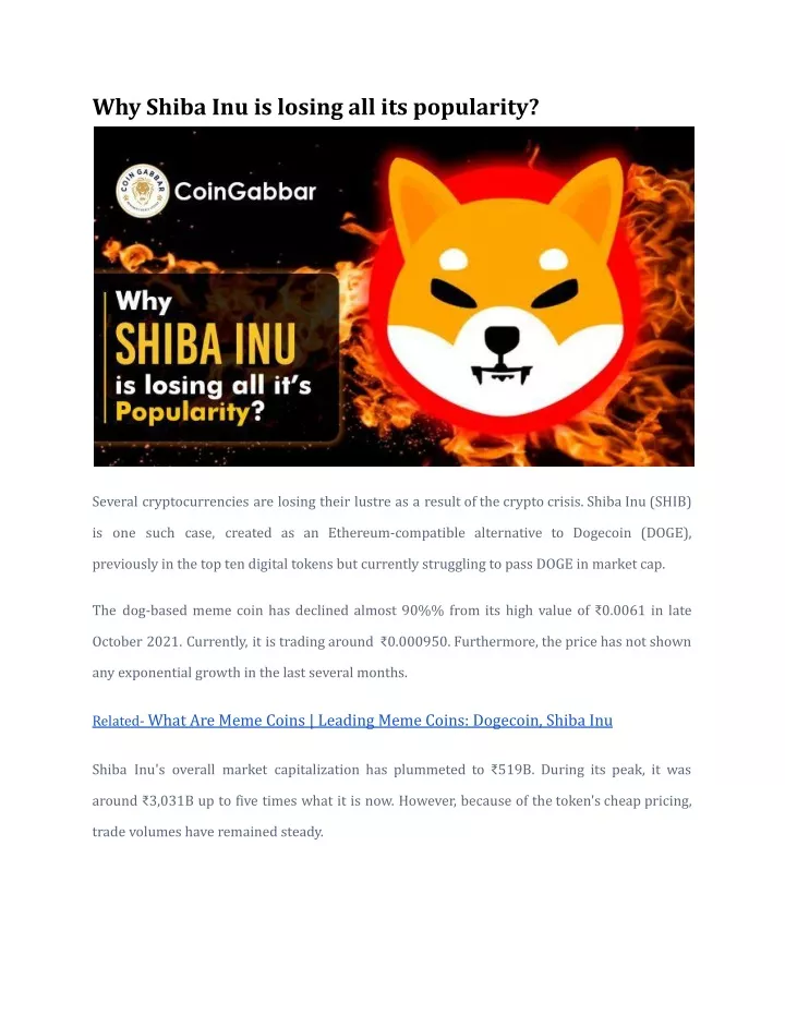 why shiba inu is losing all its popularity