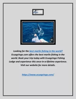 Best Marlin Fishing in the World | Ecuagringo.com