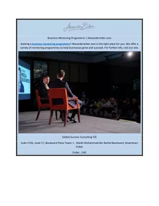 Business Mentoring Programme | Alexandererber.com