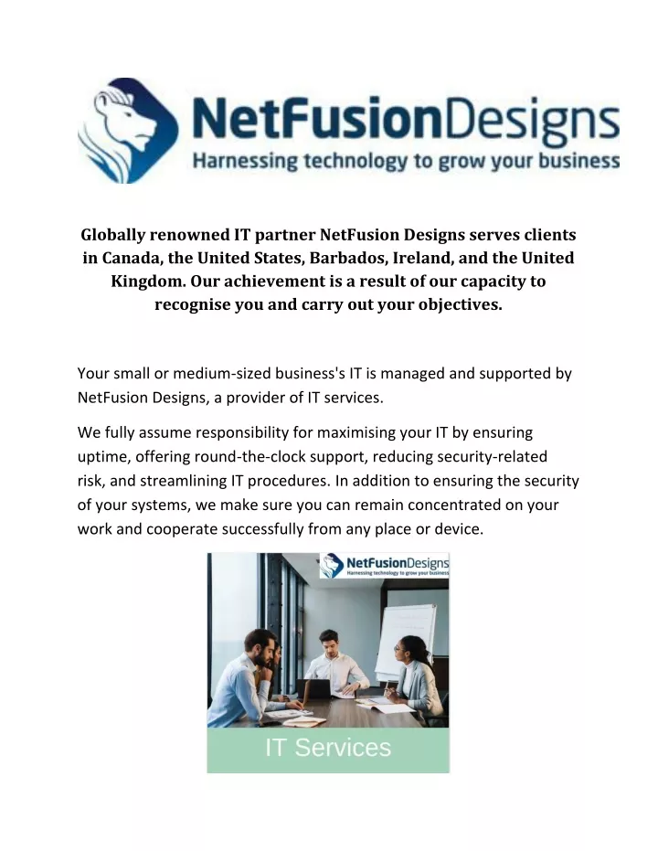 globally renowned it partner netfusion designs