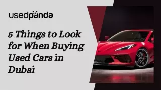 5 Things to Look for When Buying Used Cars in Dubai