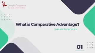 What is Comparative Advantage? | Sample Assignment