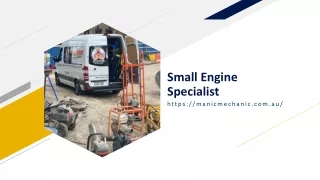 small engine specialist