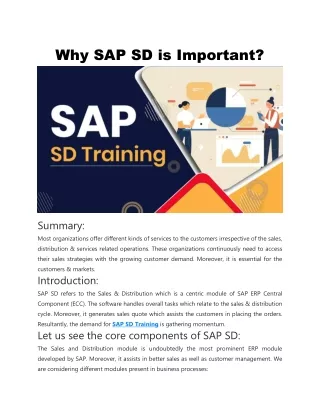 why sap sd is important