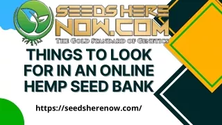 5 Things to Look for In an Online Hemp Seed Bank