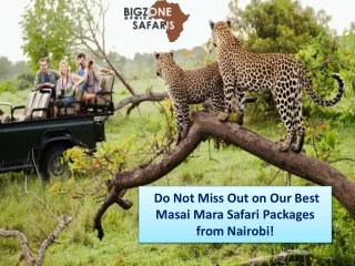 Do Not Miss Out on Our Best Masai Mara Safari Packages from Nairobi!