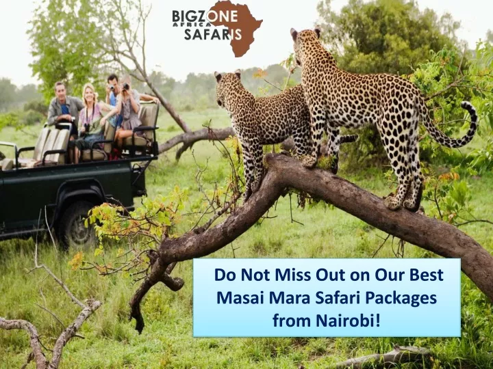 do not miss out on our best masai mara safari