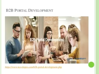 b2b portal development