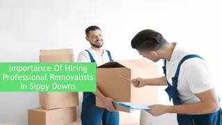 Importance Of Hiring Professional Removalists In Sippy Downs
