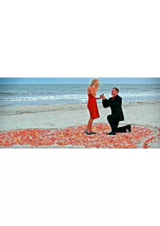 Tour packages for Honeymoon 02 Nights and 03 Days