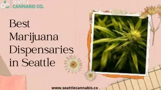 Best Marijuana Dispensaries in Seattle
