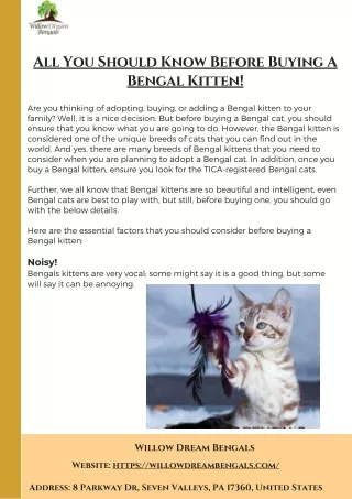 All You Should Know Before Buying A Bengal Kitten!