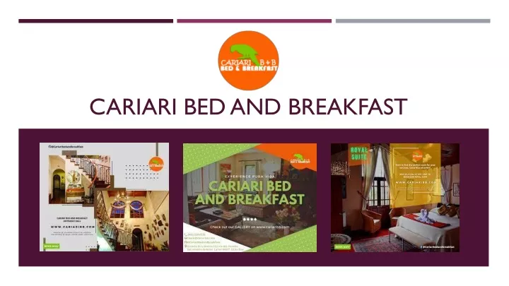 cariari bed and breakfast