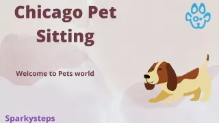 Get the best Chicago pet sitting services