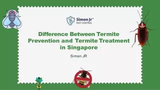 Difference Between Termite Prevention and Termite Treatment in Singapore