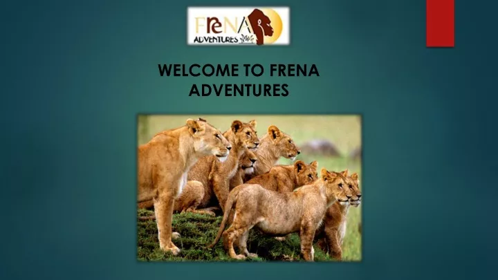 welcome to frena adventures