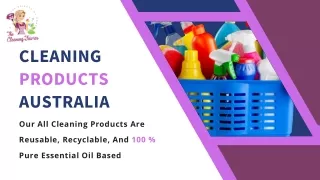 Commonly Used Cleaning Products In The House