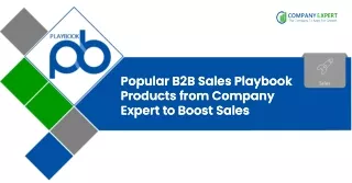 Popular B2B Sales Playbook Products from Company Expert to Boost Sales