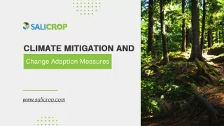 Climate Mitigation and Change Adaption Measures