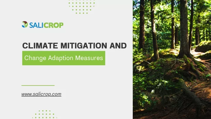 climate mitigation and change adaption measures