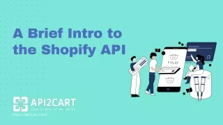 A Brief Intro to the Shopify API