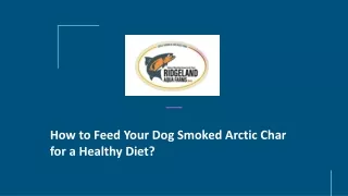 How to Feed Your Dog Smoked Arctic Char for a Healthy Diet_