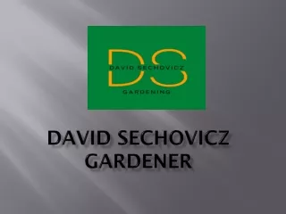 David Sechovicz- Gardener