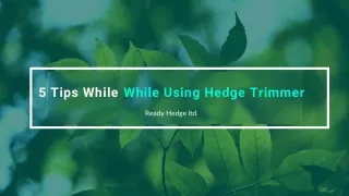 5 tips while while using hedge trimmer