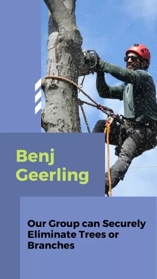 Benj Geerling - Our Group can Securely Eliminate Trees or Branches