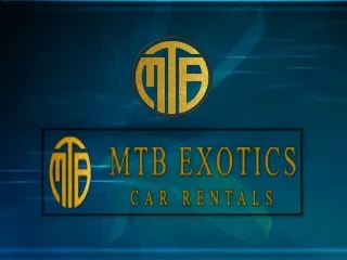 Unique Services by Exotic Car Rental Company
