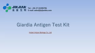 Giardia Antigen Test Kit
