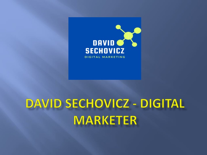 david sechovicz digital marketer