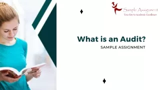 What is an Audit? | Sample Assignment