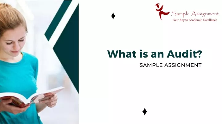 what is an audit sample assignment