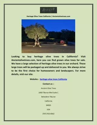 Heritage Olive Trees California | Ancientolivetrees.com