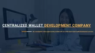 Centralized Wallet Development Company - Dappbrew