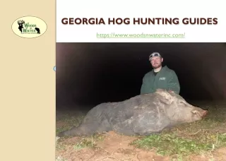 Georgia Hog Hunting Guides