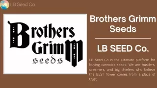Brothers Grimm Seeds | LB Seed Co