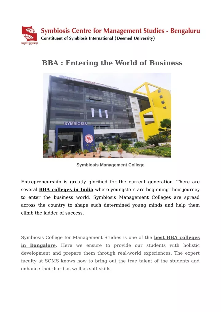 bba entering the world of business