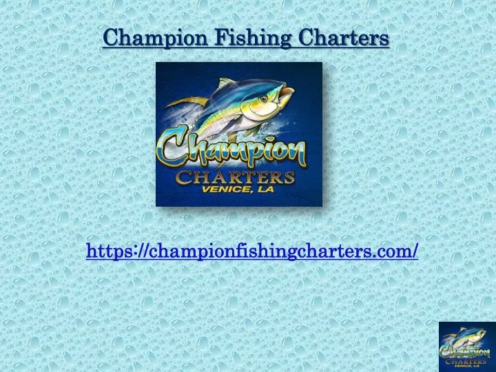 champion fishing charters