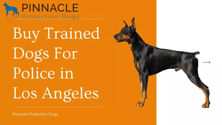 buy trained dogs for police in los angeles